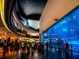 Emirati Arabi Cosa Vedere The Mall Acquario Creek